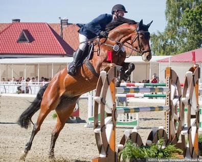 Турнир по конному спорту (конкур)