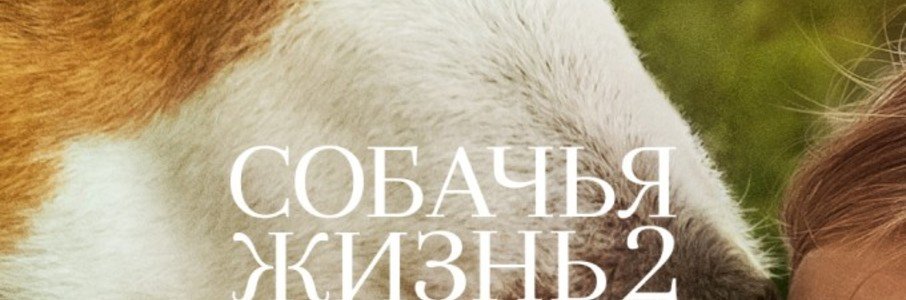 Собачья жизнь 2