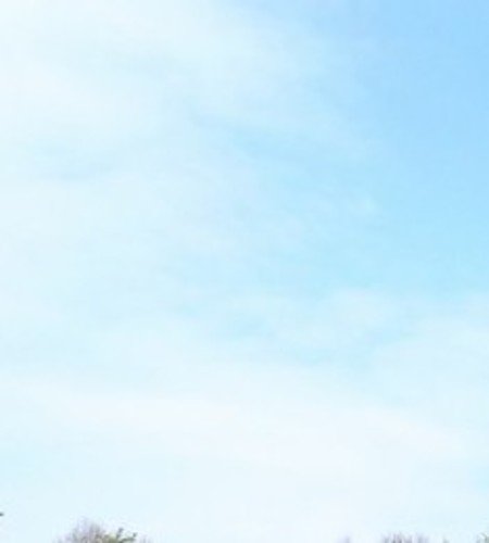 Ботанический сад БФУ имени И. Канта