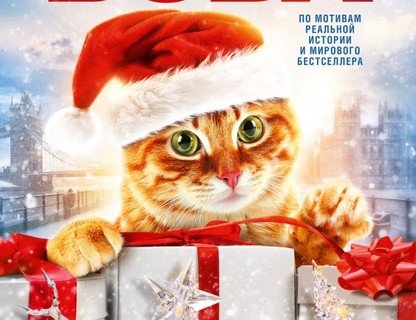 Рождество кота Боба