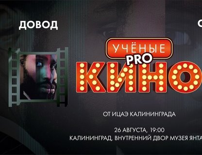 Учёные pro кино