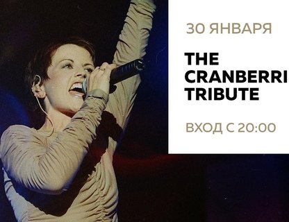 Клубный концерт The Cranberries Tribute Band