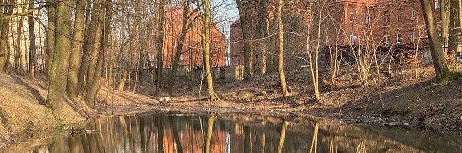 Исследовательская прогулка по Клейст-парку