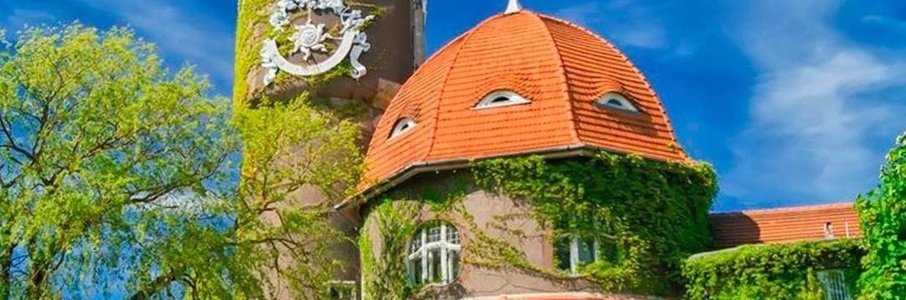 День города в Светлогорске