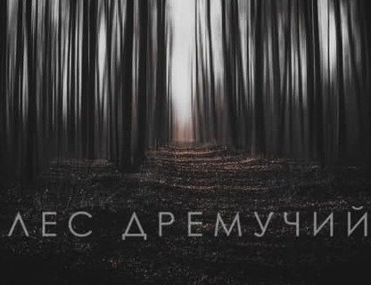 Автомобильный квест «Лес дремучий»