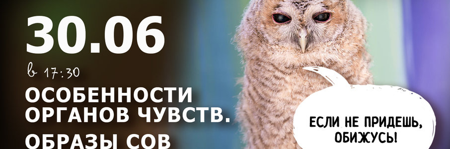 «Особенности органов чувств. Образы сов в народных культурах мира»