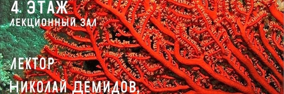 Презентация книги Николая Демидова «Децентрализация»