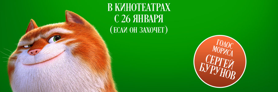 Изумительный Морис