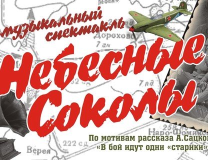 Музыкальный спектакль «Небесные Соколы. В бой идут одни старики» 