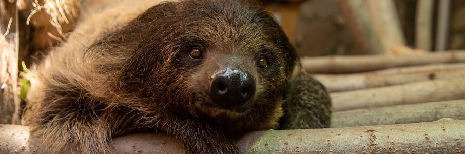 Экскурсия «В царстве вечного лета» 