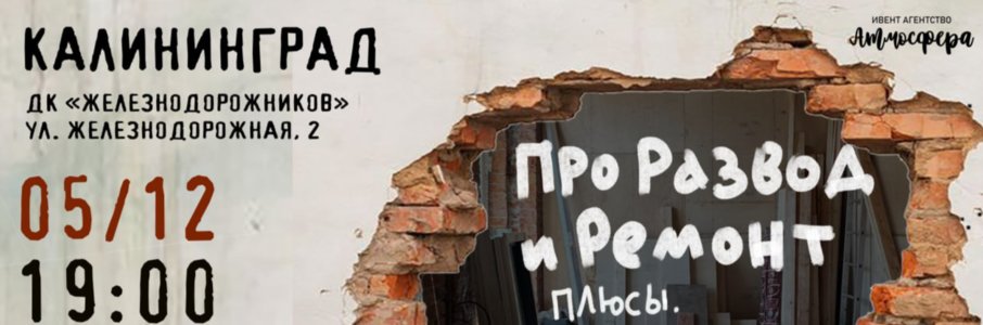 Алеся Казанцева «Про развод и ремонт. Плюсы, минусы, подводные камни»