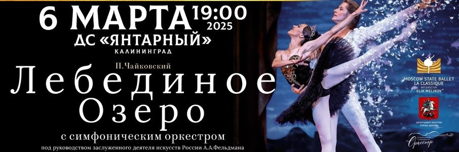 «Лебединое озеро»