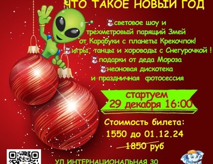 Новогодняя шоу-программу  «Что такое Новый Год»!