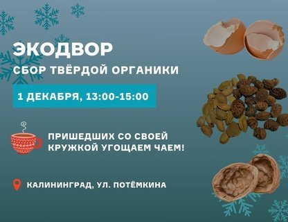 Первый зимний Экодвор