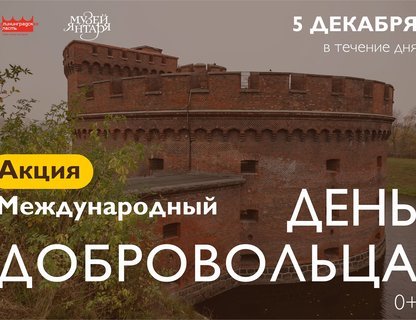 День добровольца в Музее янтаря