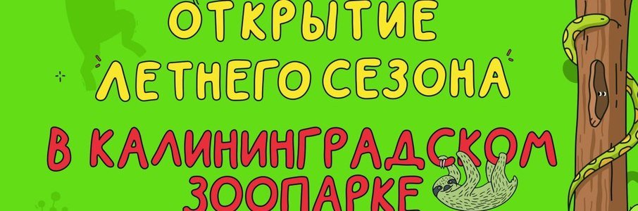 Открытие летнего сезона в Калининградском зоопарке