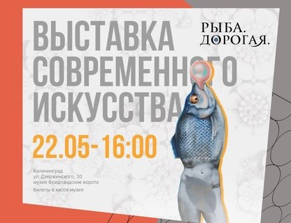 «Рыба. Дорогая»