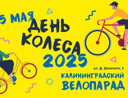«День колеса»