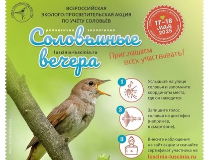 «Соловьиные вечера»