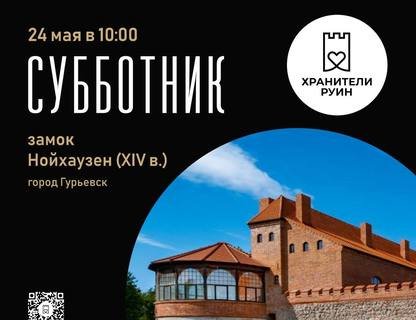 Большой субботник в замке Нойхаузен