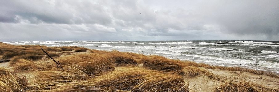 Открытие пляжного сезона в Янтарном