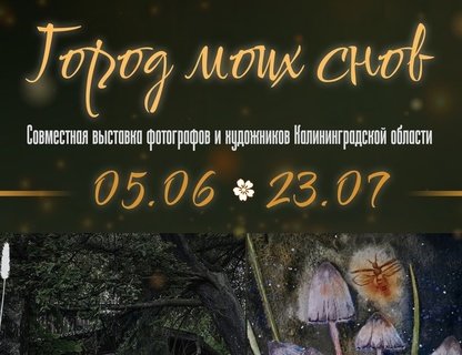 «Город моих снов»