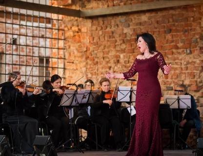 Музыкальное представление «Опера Гала»