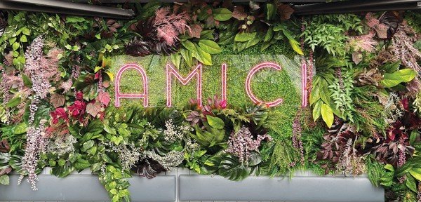 Amici