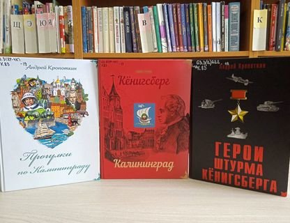 Познавательная беседа «Горжусь тобой, Янтарный край»
