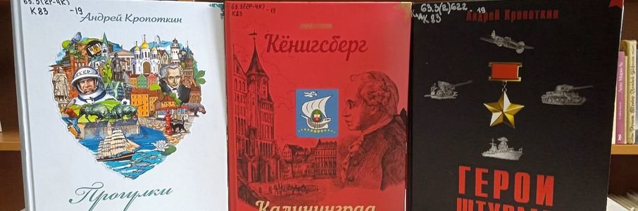 Познавательная беседа «Горжусь тобой, Янтарный край»