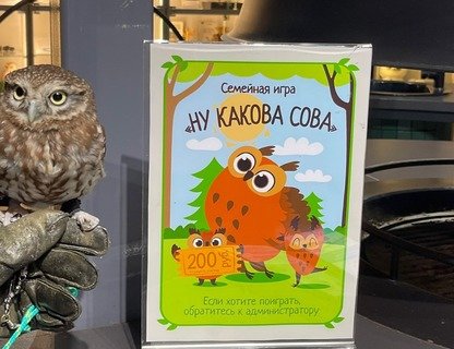 Познавательная игра «Ну какова сова»