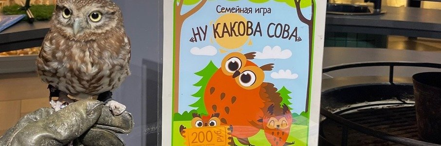 Познавательная игра «Ну какова сова»