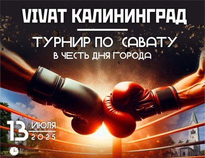 Турнир по савату в честь Дня города