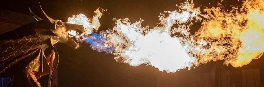 Театрализованное огненное представление «Сердце дракона»