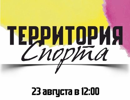 Фестиваль «Территория спорта — 2025»