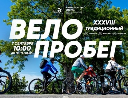 XXXVIII традиционный велопробег Калининград — Зеленоградск — Калининград