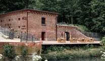 История в тарелке