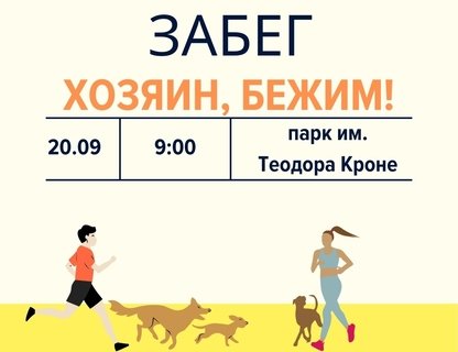 Забег «Хозяин, бежим!