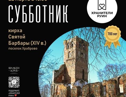Субботник на руинах кирхи Святой Барбары