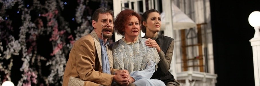 «Вишнёвый сад»