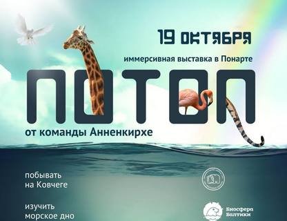 Выставка «Потоп»