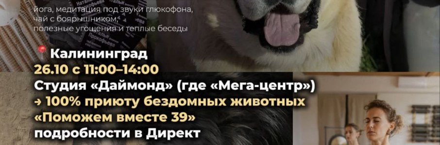 Благотворительная практика «Йога ради хвостиков»