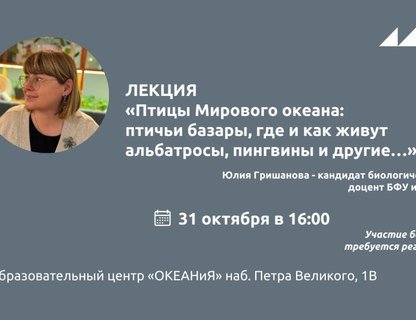 Лекция «Птицы Мирового океана: птичьи базары, где и как живут альбатросы, пингвины и другие…»