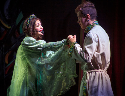 «Царевна-лягушка»