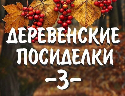 Деревенские посиделки