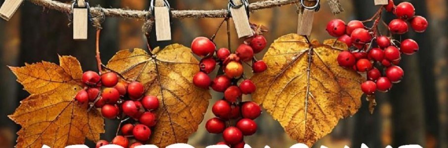 Деревенские посиделки