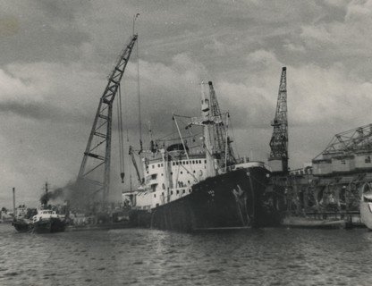 «К берегам Антарктиды»