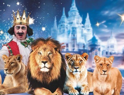 Цирк Vivat: Королевство львов