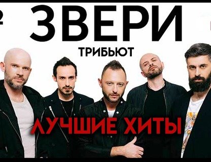 Трибьют-концерт «Звери»