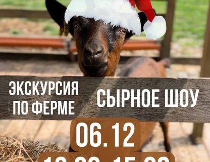 Зимний праздник на ферме «Козья горка»
